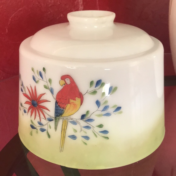 Vtg Hand Painted Parakeets Frosted Glass Ceiling Light Globe - Picture 9 of 9